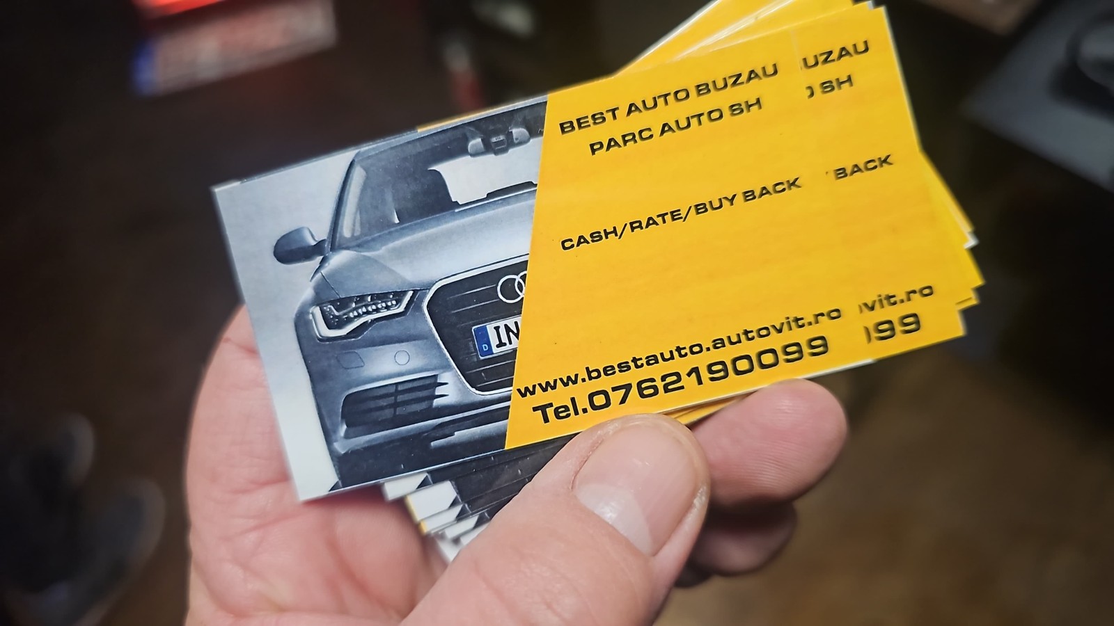 Carti de vizita alternate view