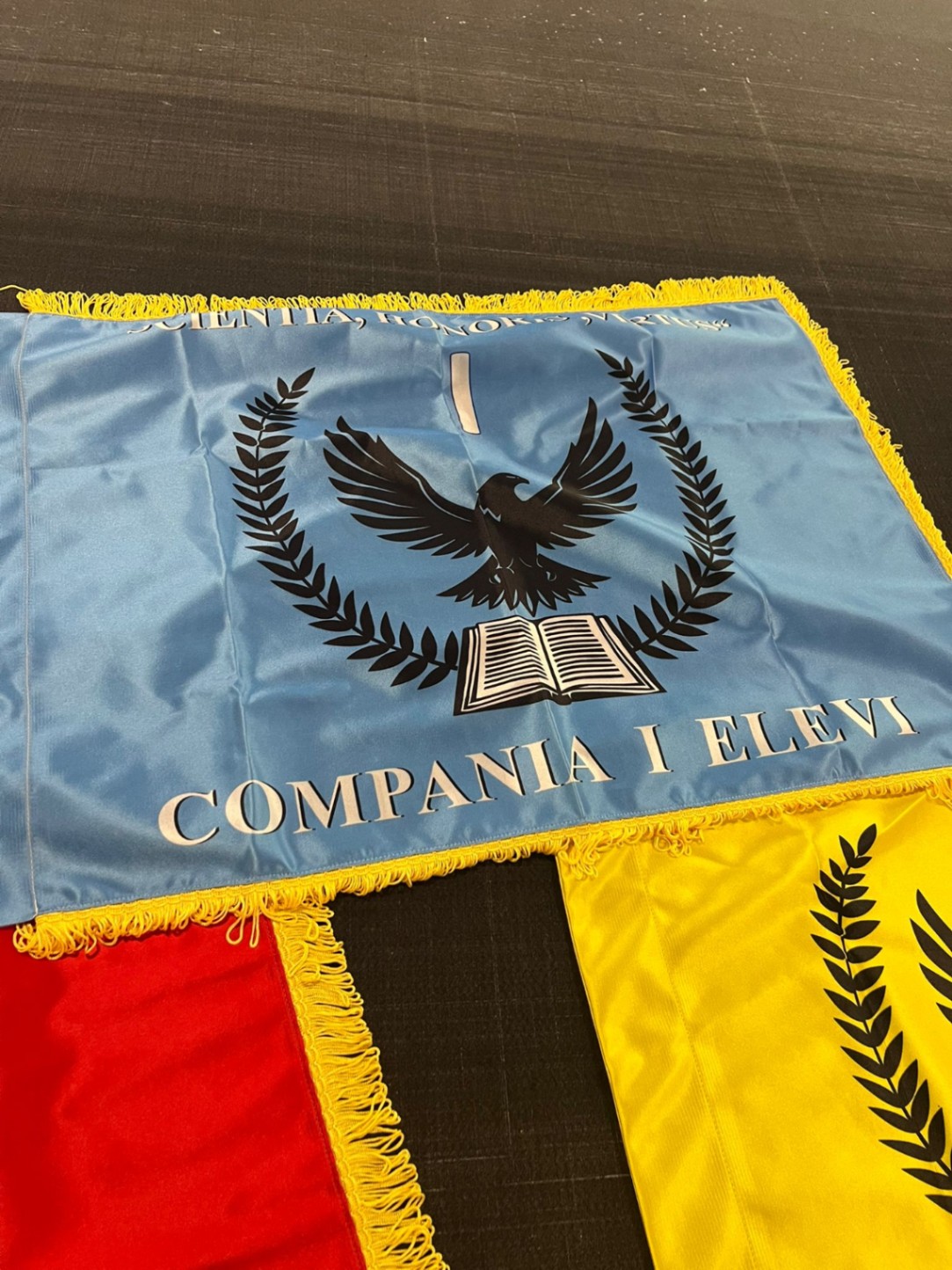 Steaguri satini cu franjuri personalizati